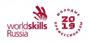 WorldSkills Russia (День 2)