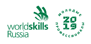 WorldSkills Russia (День 3)